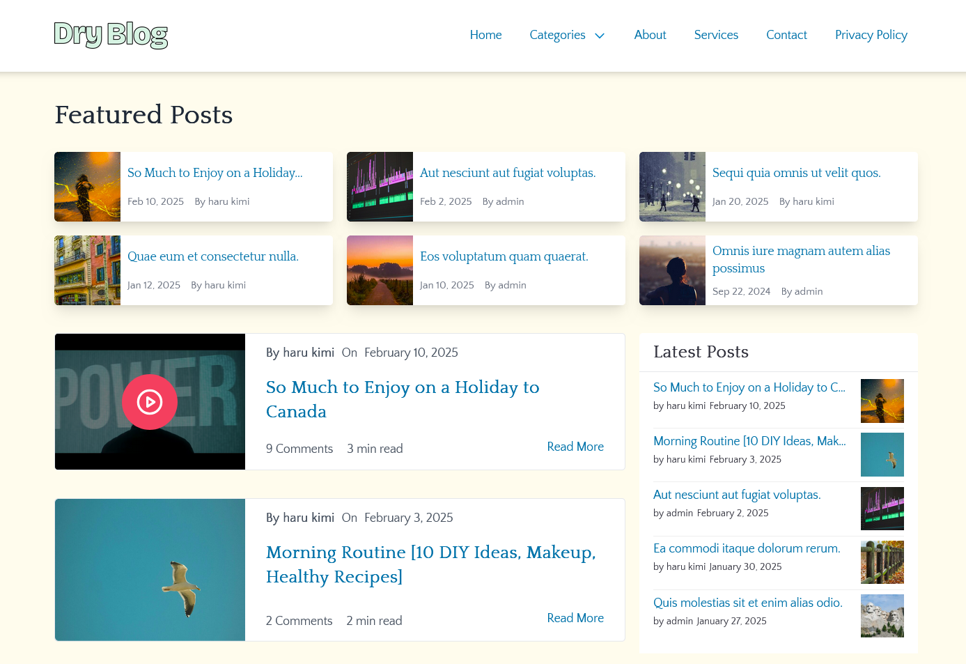 WordPress Blog Theme 1